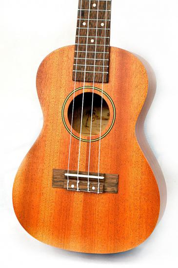 Mellow UK3 - Ukulele koncertowe z drzewa Sapele w zestawie z pokrowcem