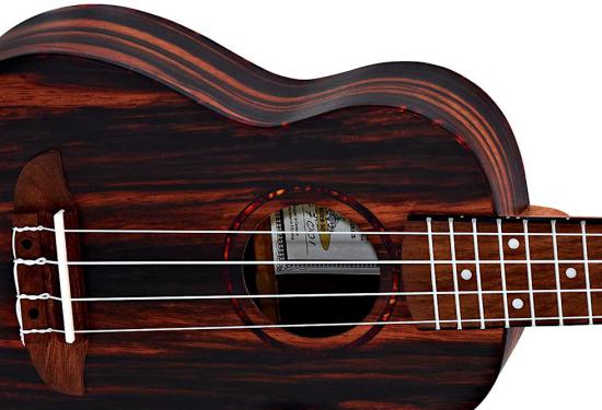 Ortega RUEB-SO - Przepiękne ukulele sopranowe z HEBANU w ekskluzywnym pokrowcu typu GigBag