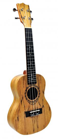 TANGLEWOOD TWT 10 GLOSS - Ukulele koncertowe na wysoki połysk z drewna SPALT MAPLE TANGLEWOOD TWT 10 GLOSS - Ukulele koncertowe na wysoki połysk z drewna SPALT MAPLE